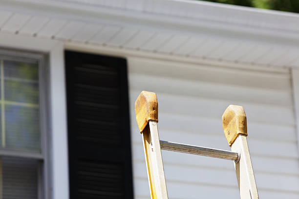 Best Shed Removal  in Shawneetown, IL
