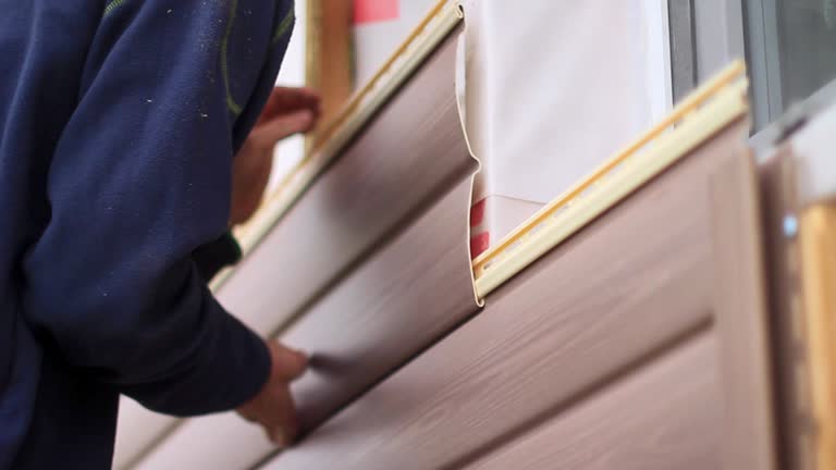 Best Hoarding Cleanup  in Shawneetown, IL